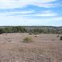 Longhorn River Ranch