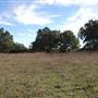 Longhorn River Ranch
