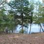 Lake Bastrop - South Shore Park