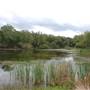 Lake Bastrop - South Shore Park