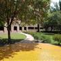 University of Texas Rio Grande Valley - Edinburg Campus