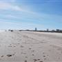Stewart Beach