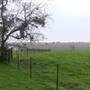 Maeshill Farm