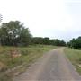 Storm Ranch