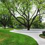 Lakeside Park