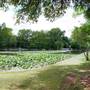 Lakeside Park