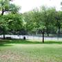 Davis Park