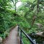 Davis Park