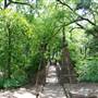 Davis Park