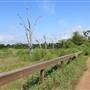 Seabrook Hike & Bike Trails