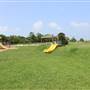 Pine Gully Park
