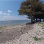 Lake Lavon