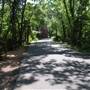 Palmetto State Park