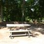 Palmetto State Park