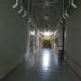 Bosque Arts Center