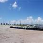 Port of Palacios