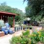Hill Country Water Gardens & Nursery