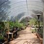 Hill Country Water Gardens & Nursery