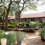 Hill Country Water Gardens & Nursery