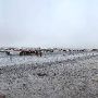 Mendota Ranch