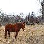 Mendota Ranch