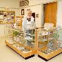 Odessa Meteor Crater Museum