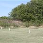Robinson Gun Range