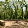 Historic Stagecoach Park