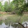 Mesquite Ranch