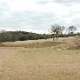 Hyatt Regency Lost Pines Resort & Spa - Wolfdancer Golf Club