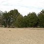 Hyatt Regency Lost Pines Resort & Spa - Wolfdancer Golf Club