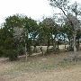Hyatt Regency Lost Pines Resort & Spa - Wolfdancer Golf Club