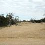 Hyatt Regency Lost Pines Resort & Spa - Wolfdancer Golf Club