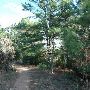 McKinney Roughs Nature Park
