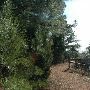 McKinney Roughs Nature Park