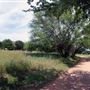 Mueller Lake Park