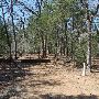 Buescher State Park