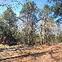 Buescher State Park