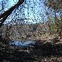 Buescher State Park