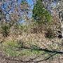 Buescher State Park