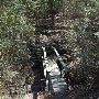 Buescher State Park