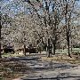 Buescher State Park