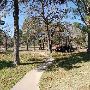 Buescher State Park