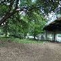 Auditorium Shores