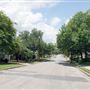 Alamo Heights