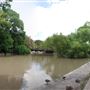 Brackenridge Park