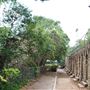 Brackenridge Park