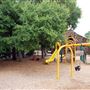 Brackenridge Park