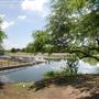 Elmendorf Lake Park