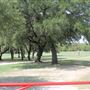 Hamilton Fair Park